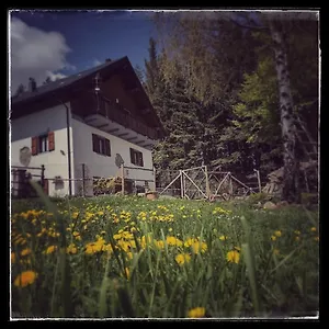 Alle Betulle Bed & Breakfast